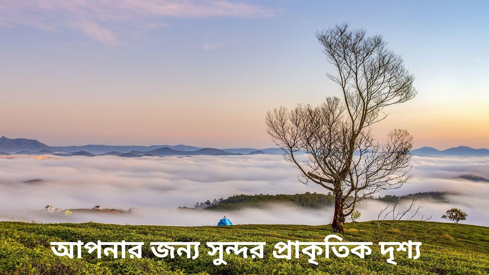 সুন্দর প্রাকৃতিক দৃশ্য