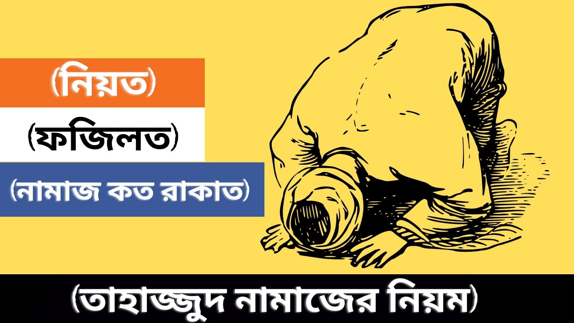 তাহাজ্জুদ নামাজের নিয়ম | তাহাজ্জুদ নামাজের ফজিলত