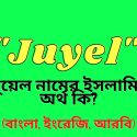 জুয়েল নামের অর্থ কি? । Juyel Name meaning in Bengali