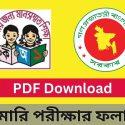 প্রাইমারি শিক্ষক নিয়োগ রেজাল্ট 2022 | প্রাইমারি পরীক্ষার ফলাফল দেখার নিয়ম