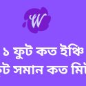 ১ ফুট কত ইঞ্চি | ১ ফুট সমান কত মিটার