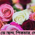 রোজ ডে স্ট্যাটাস | রোজ ডে ছন্দ | রোজ ডে মেসেজ | রোজ ডে পিকচার