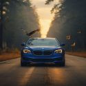 A Bird Flies In Front Of Your Car