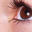 Spiritual Meaning Of Four Eyes