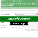 এসএসসি রেজাল্ট ২০২৪